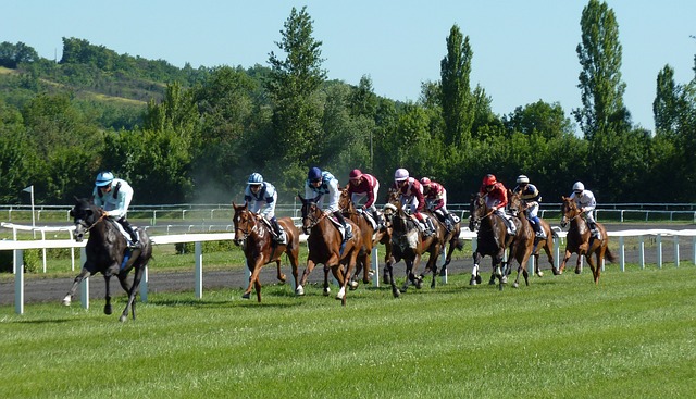 20Bet: Cómo Apostar en Carreras de Caballos y Maximizar tus Ganancias